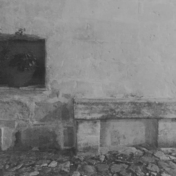 Still life 10