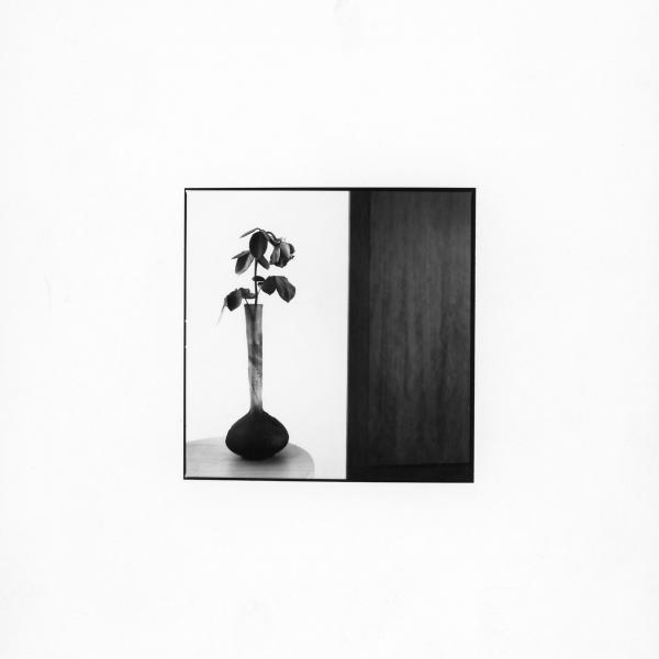 Still life 5