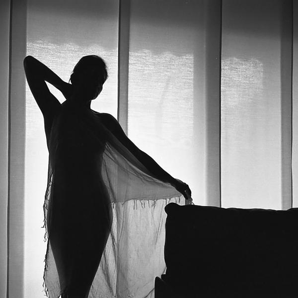 Window lights 4