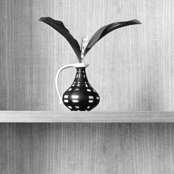 Still life 7